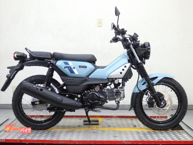 ＰＧ−１　ＡＢＳ付きモデル　２０２６年モデル　並行輸入新車　ベトナム仕様　８０２４４
