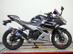 カワサキ　Ｎｉｎｊａ　２５０　ＥＸ２５０Ｐ　スクリーン　社外サイレンサー　６０２１１