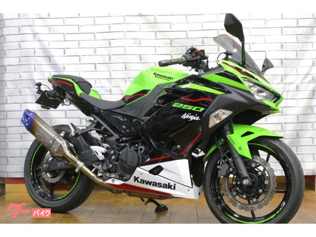 Ｎｉｎｊａ　２５０　トリックスター製マフラー、ドライブレコーダー付き