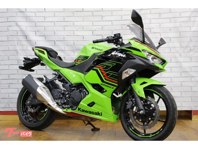 Ｎｉｎｊａ　２５０