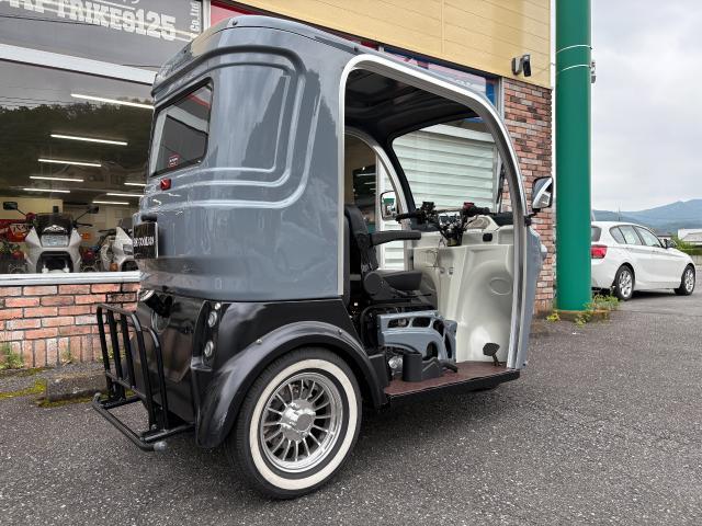 トライク トライク（126～250cc）APトライク250