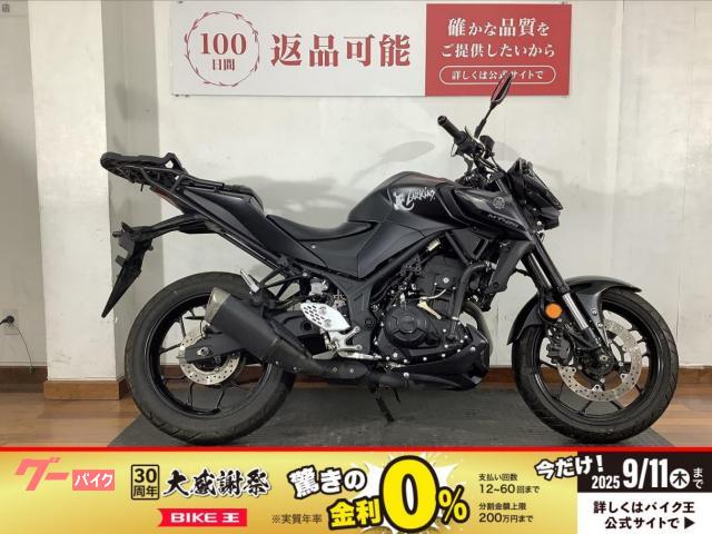 ＭＴ−２５　２０２２年モデル　デイトナ製ＵＳＢ電源ポート　ＫＥＭＩＭＯＴＯ製社外ミラー