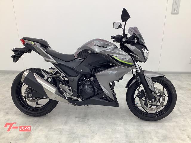 カワサキ Z250 2017年モデル MRA製スクリーン装備｜バイク