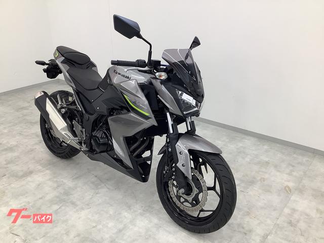 カワサキ Z250 2017年モデル MRA製スクリーン装備｜バイク