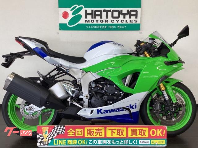 Ｎｉｎｊａ　ＺＸ−６Ｒ　４０周年アニバーサリーモデル　ウィングレット　ヒールプレート他カスタム多数