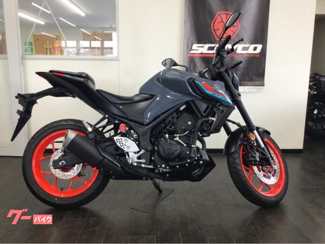 ＭＴ−２５　２０２１年ＲＧ４３Ｊモデル　スライダー＆カスタムレバー装着