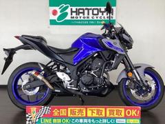 ヤマハ　ＭＴ−０３（３２０ｃｃ）２０２１年モデル　アクラサイレンサー　スクリーン　他カスタム多数