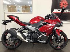 カワサキ　Ｎｉｎｊａ　２５０　２０２２年モデル　キャンディーパーシモンレッド