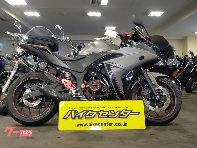 ＹＺＦ−Ｒ２５　２０１６年モデル　フェンダーレス　プラナスマフラー　ＨＩＤライト
