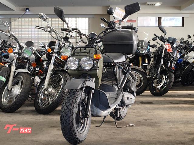 ホンダ ズーマー AF58 インジェクション 2011年モデル 前後