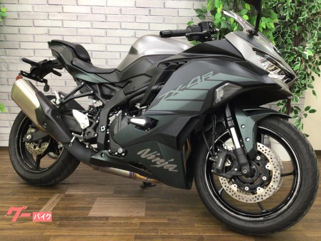 Ｎｉｎｊａ　ＺＸ−４Ｒ　ＳＥ