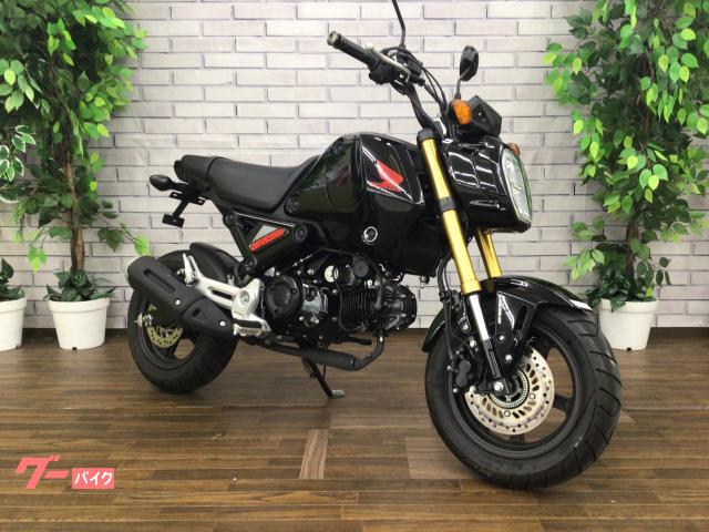 グロム　フェンダーレス