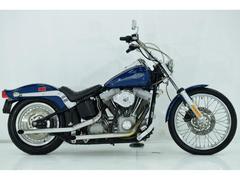 ＨＡＲＬＥＹ−ＤＡＶＩＤＳＯＮ　ＦＸＳＴ　ソフテイルスタンダード　ＨＳＲキャブレター＆Ｔｗｉｎ　Ｔｅｃモジュール