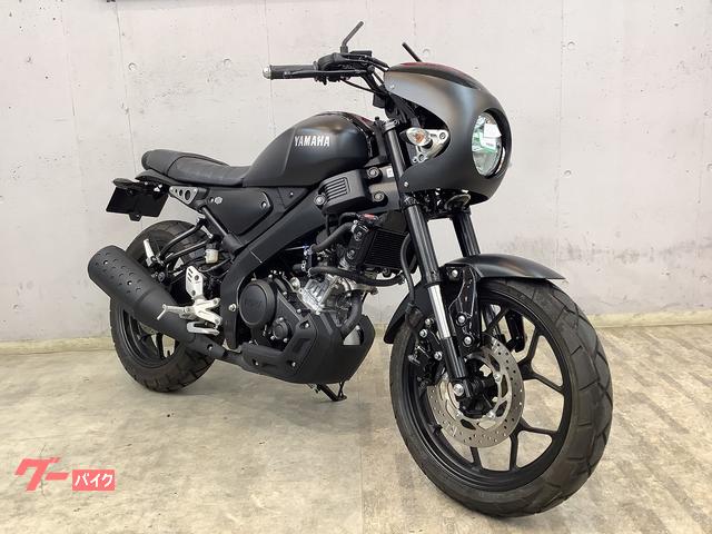 XSR 125 ビキニカウル XSR155 imgrc0092276450.jpg