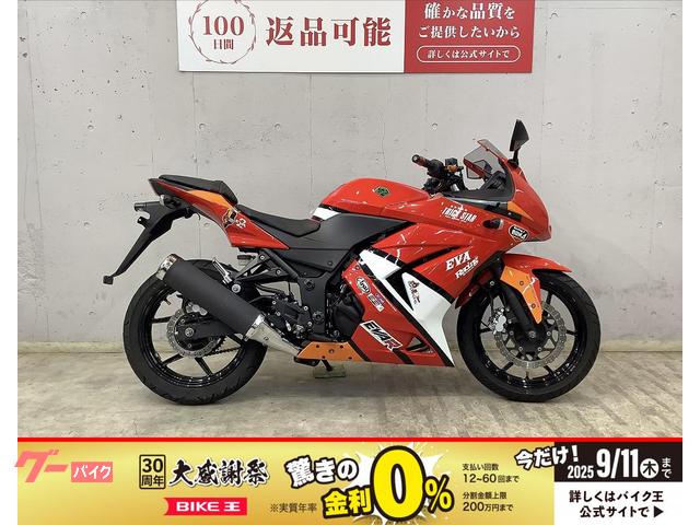 Ｎｉｎｊａ　２５０Ｒ　カスタム外装キット　アジャスタブルレバー　バーエンドカスタム