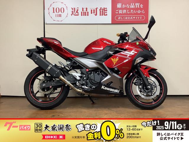 Ｎｉｎｊａ　２５０　トリックスターマフラー　エンジンスライダー　デイトナ製ＵＳＢ電源　マルチバー　レバーカスタム　インジェクション