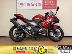 カワサキ　Ｎｉｎｊａ　２５０　トリックスターマフラー　エンジンスライダー　デイトナ製ＵＳＢ電源　マルチバー　レバーカスタム　インジェクション