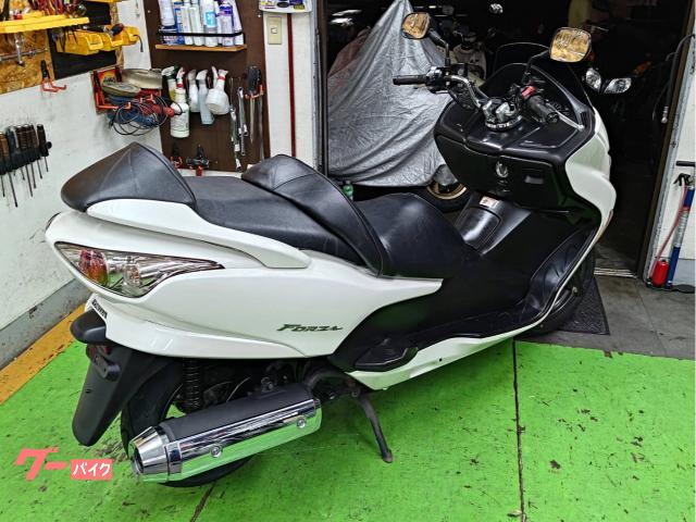 新品　未使用　フォルティスSP1リットル ONLINE STORE | 一条アルチメイト大阪