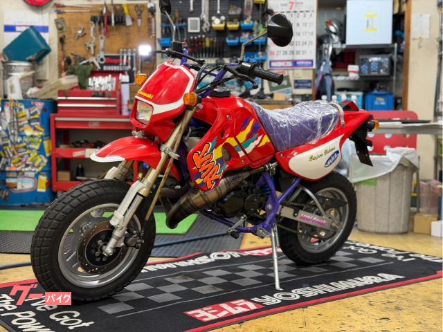 カワサキ KSR－II プロスキルチャンバー プロスキルサイレンサー