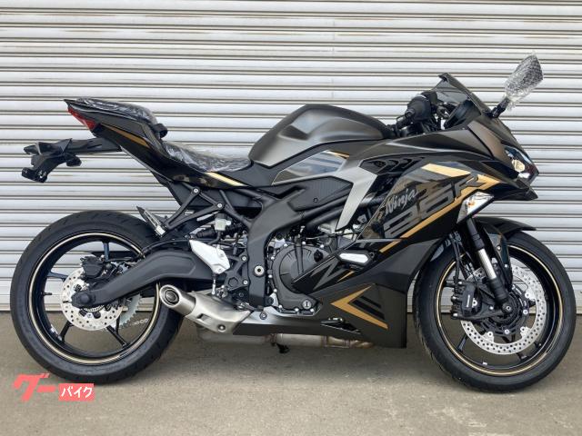 オンラインショップ 売り切れ 黒×金×銀 帯 その他 - tsr.zxsonic.com