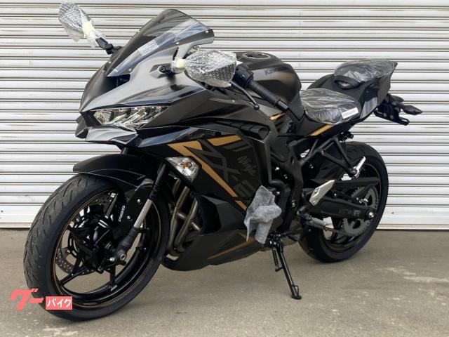 カワサキ Ｎｉｎｊａ ＺＸ－２５Ｒ ＳＥ ２０２２年モデル｜司 