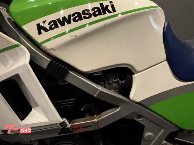 カワサキ GPZ400R 限定車ライムグリーン｜司モータース｜新車