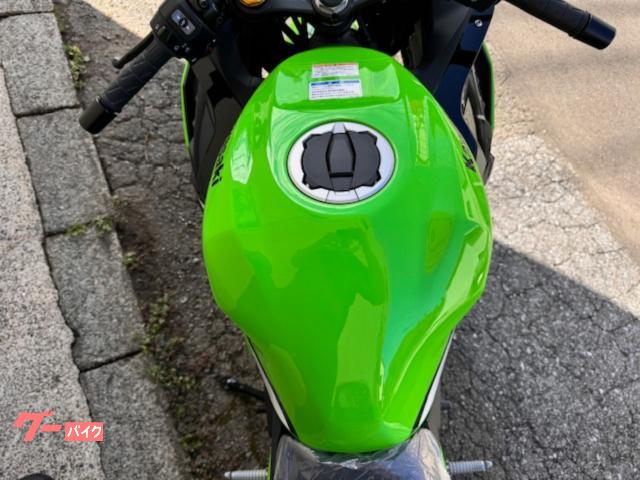 ★ Lime Garden レコード 7\" 新品未使用 タカショー Gaveria 鉢 プランター ポット 大型 庭 ガーデニング