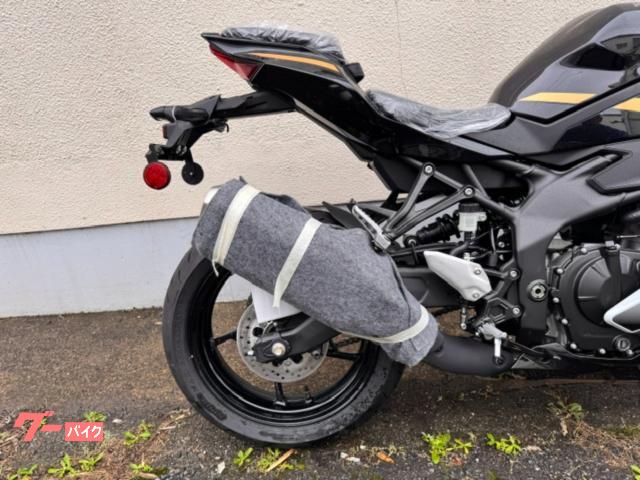 johmysunskyhergen様20㎏　4月中旬 カワサキ Ninja ZX－4R SE 26'MODEL｜株式会社