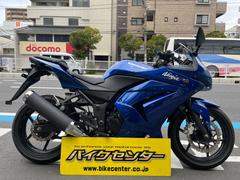 カワサキ　Ｎｉｎｊａ　２５０Ｒ　インジェクション　マウントバー　メットホルダー　青