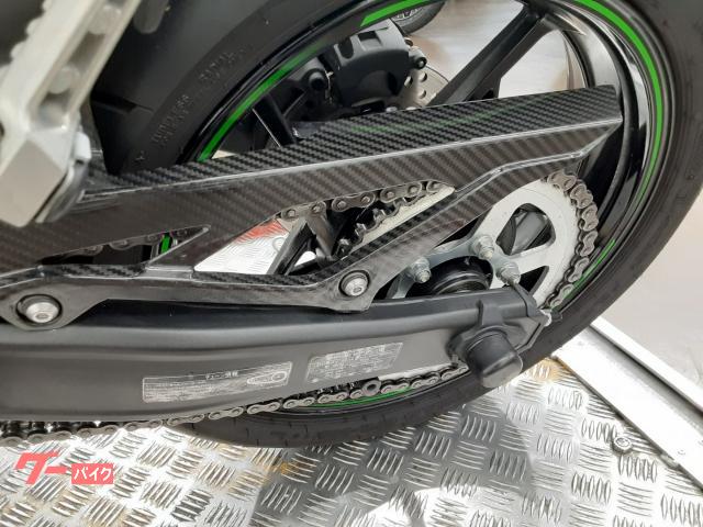 カワサキ Ninja ZX－4R SE トリックスターIKAZUCHI