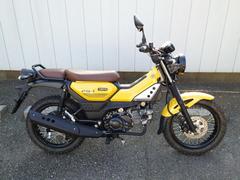 ヤマハ　ＰＧ−１　２０２５年モデル　並行輸入新車　ベトナム仕様　　７０１９９