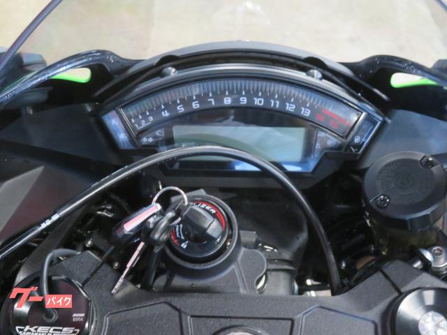 専用(10月分) 世界初公開 おっさんホイホイなZXR400Rカラー】カワサキ ZX-10R