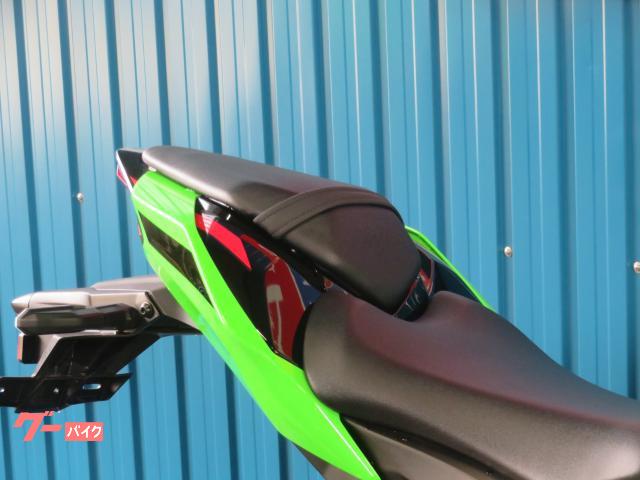 カワサキ Ninja ZX－10R A1370 アクラポビッチ