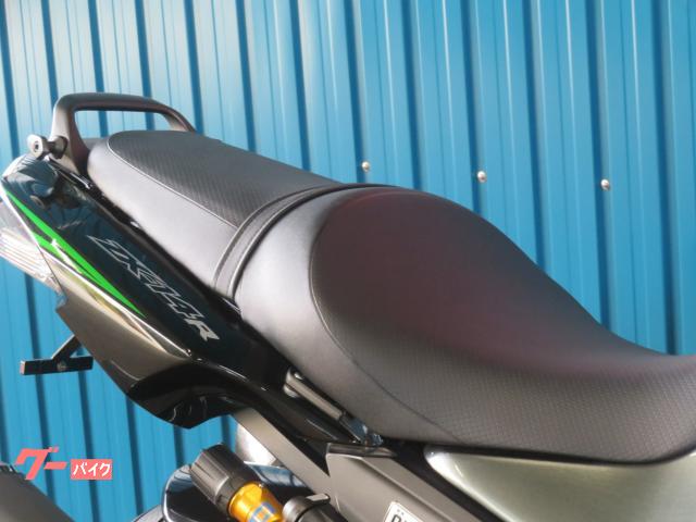 専用 カワサキ/ZX-10RR – シイナモータース