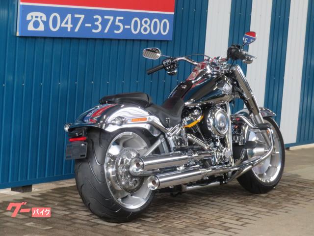 HARLEY-DAVIDSON FLSTFI A1449 35 2025 — миниатюра 5