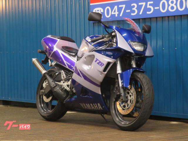 ヤマハ TZR250R HB0103 BEETバックステップ 倒立