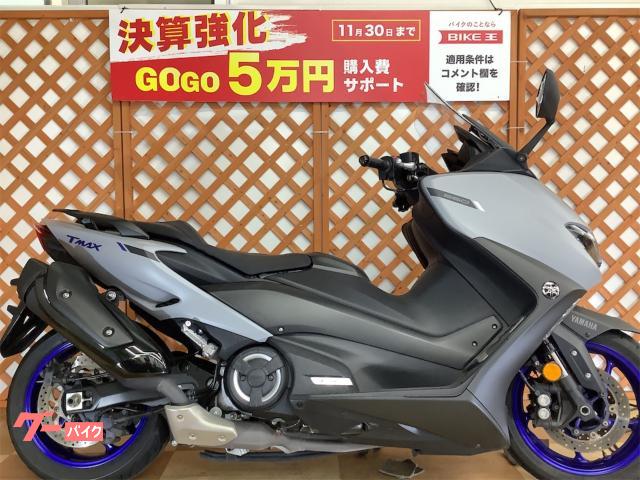 ヤマハ ＴＭＡＸ５６０ ＡＢＳ ローダウン仕様 スマホホルダー装備