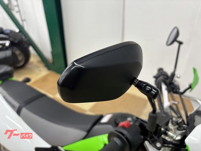 カワサキ KLX125 2016年最終モデル ナックルガード カスタム