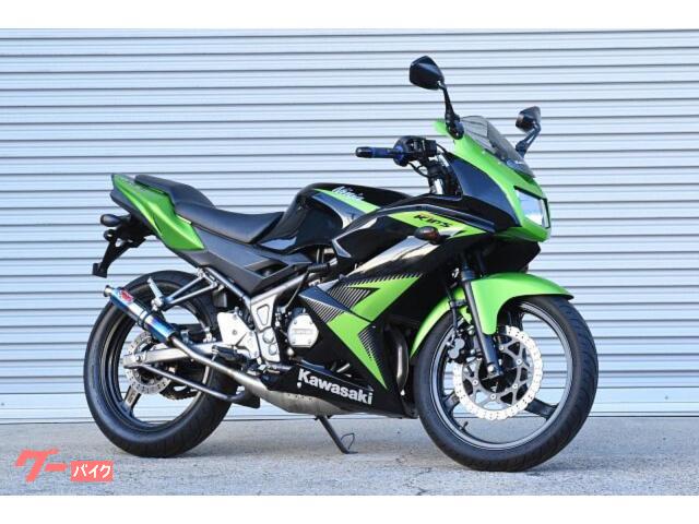 Ｎｉｎｊａ　ＲＲ１５０　社外チャンバー