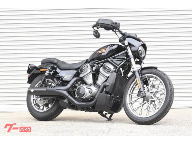 ＲＨ９７５Ｓ　ナイトスタースペシャル　社外マフラー　エアクリ　ナックルガード　サイドバックステー