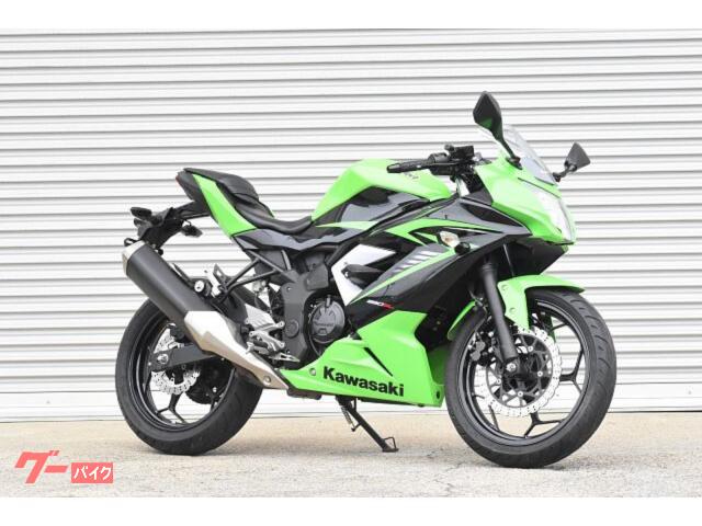 Ｎｉｎｊａ　２５０ＳＬ　ＥＴＣ　バーマウント