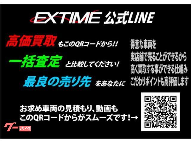 うみオーダーページ カワサキ Ninja ZX－10R アクラポビッチマフラー ステップ