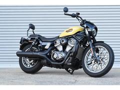 ＨＡＲＬＥＹ−ＤＡＶＩＤＳＯＮ　ＲＨ９７５Ｓ　ナイトスタースペシャル　ＥＴＣ　エンジンガード　シーシーバー　フォークブーツ