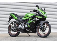 カワサキ　Ｎｉｎｊａ　ＲＲ１５０　ノーマル