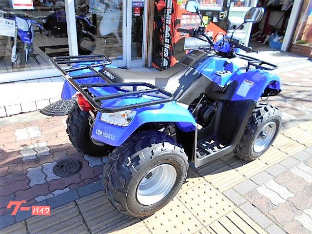 車両情報 バギー バギー ファンビークル 八王子 中古バイク 新車バイク探しはバイクブロス