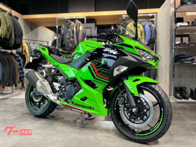 車両情報:カワサキ Ninja 250 | カワサキプラザ松戸 | 中古バイク