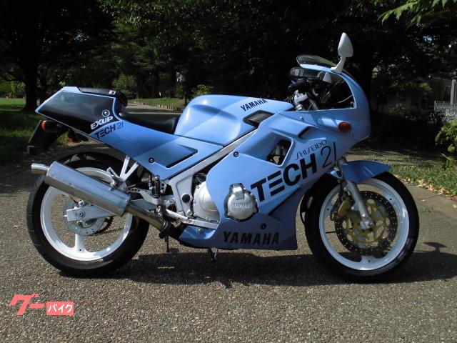 ＦＺＲ２５０　限定車　キャブＯＨ済　ＭＦバッテリー　シート張り替え新品