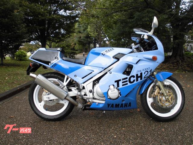 ＦＺＲ２５０　ＴＥＣＨ２１カラー　ＭＦバッテリー　ゴールドチェーン他
