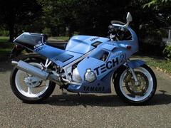 ヤマハ　ＦＺＲ２５０　限定車　キャブＯＨ済　ＭＦバッテリー　シート張り替え新品