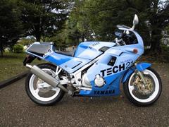 ヤマハ　ＦＺＲ２５０　ＴＥＣＨ２１カラー　ＭＦバッテリー　ゴールドチェーン他
